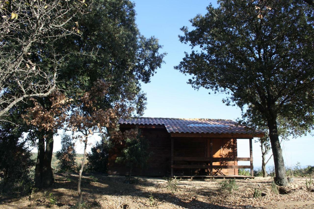 Les Chalets En Cevennes Saint-Christol-lès-Alès Екстериор снимка